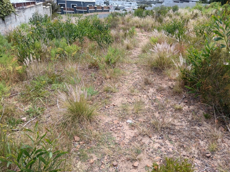 0 Bedroom Property for Sale in Mountainside Western Cape